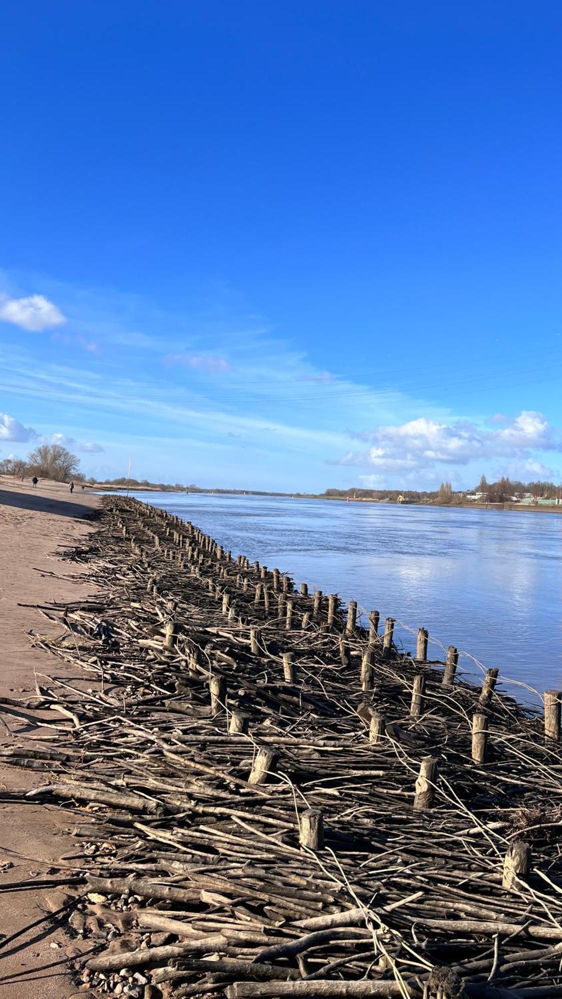 Gaestehaus Weserblick Am Weser-Sandstrand Berne Eksteriør bilde