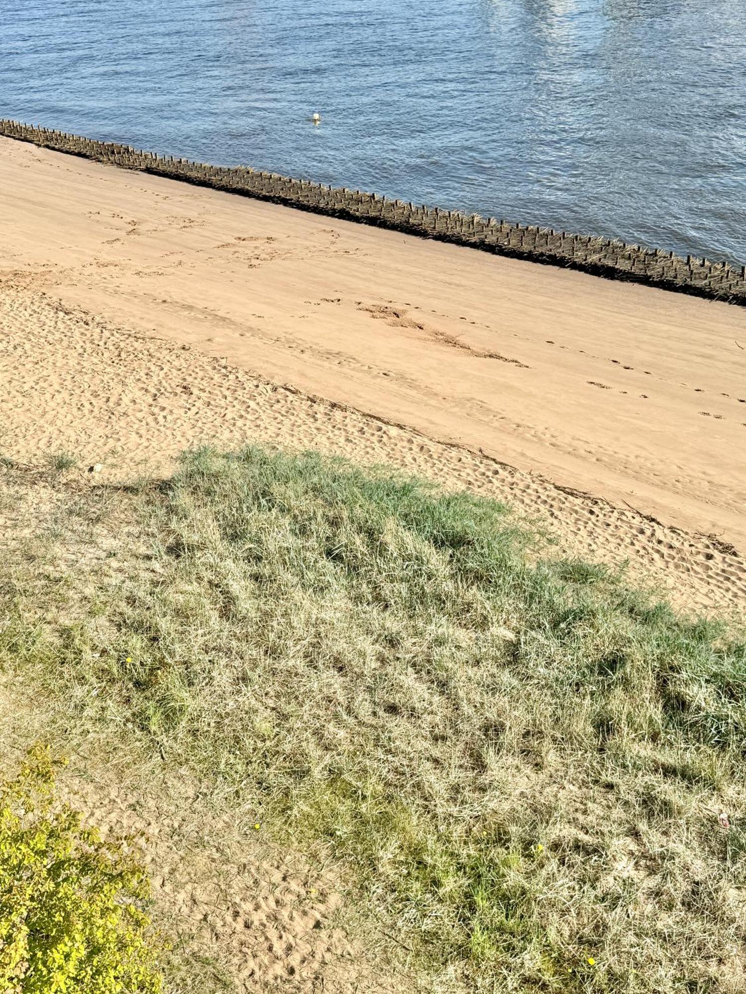 Gaestehaus Weserblick Am Weser-Sandstrand Berne Eksteriør bilde